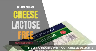 Cheddar Cheese Lactose: What You Need to Know
