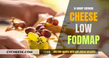 Is Cheddar Cheese Low FODMAP? Unraveling the Dairy Dilemma