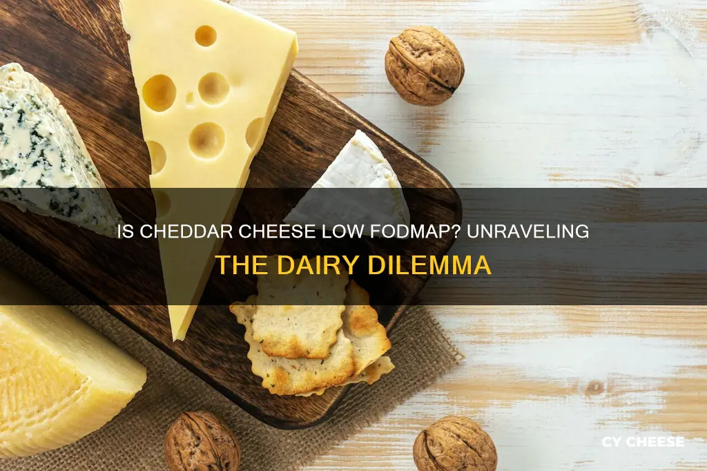 is sharp cheddar cheese low fodmap