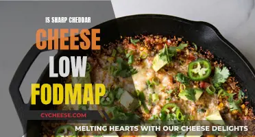 Cheddar Cheese and FODMAP: What's the Lowdown?
