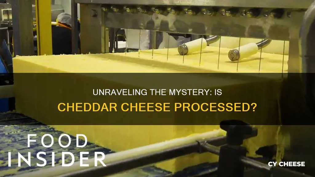 is sharp cheddar cheese processed