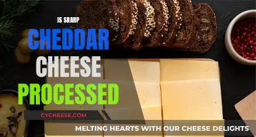 Cheddar Cheese Conundrum: Is Sharp Cheddar Truly Processed?