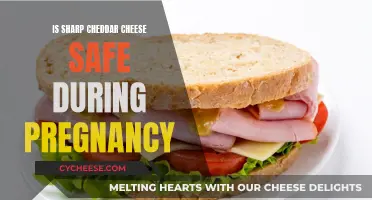 Pregnancy and Cheddar: Is Sharp Cheddar Safe?