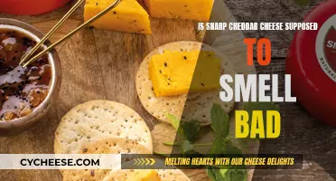 Sharp Cheddar Cheese: Why the Pungent Aroma?