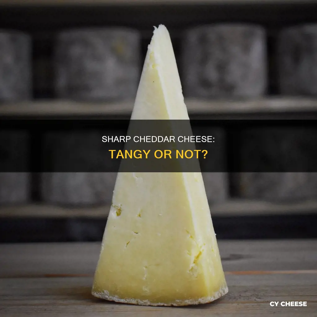 is sharp cheddar cheese tangy