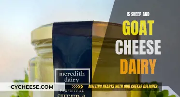 Sheep and Goat Cheese: Dairy Delights or Not?