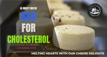 Sheep Cheese and Cholesterol: What's the Connection?