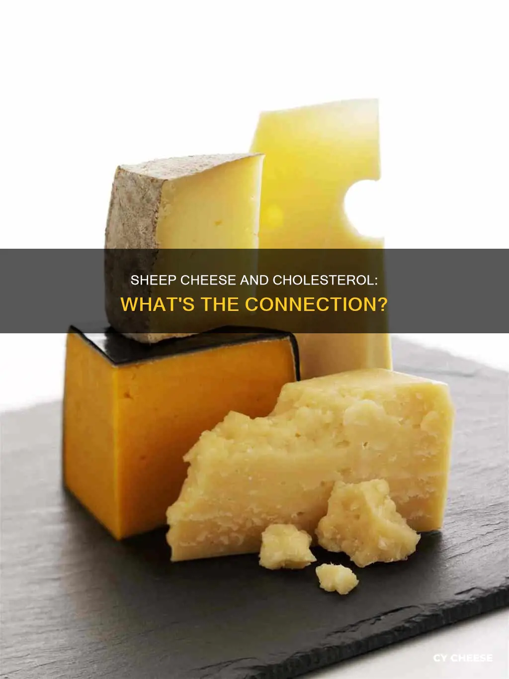is sheep cheese bad for cholesterol