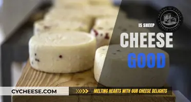 Is Sheep Cheese Good? Exploring Its Flavor, Health Benefits, and Uses
