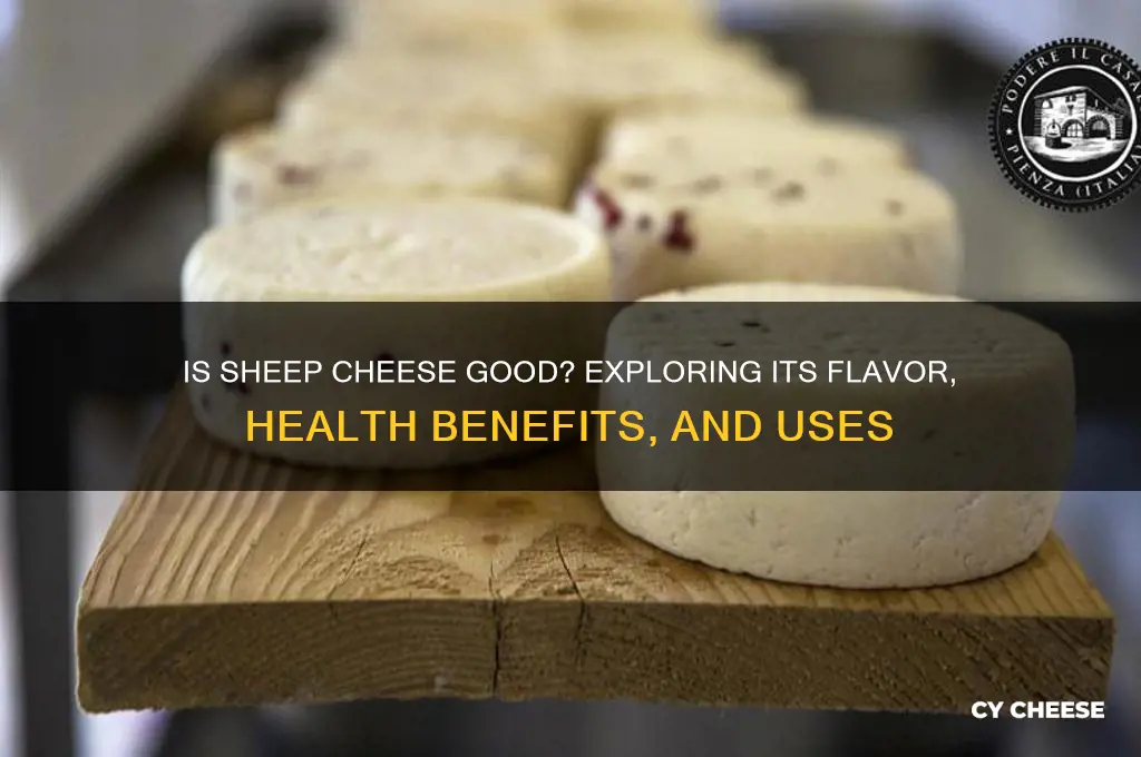 is sheep cheese good