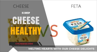 Sheep Cheese: Healthy or Not?