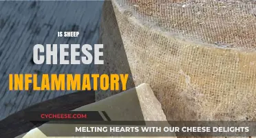 Is Sheep Cheese Inflammatory? Uncovering the Truth About Its Impact