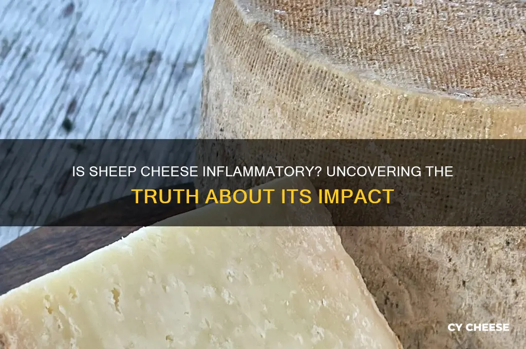 is sheep cheese inflammatory