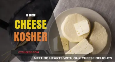 Is Sheep Cheese Kosher? Exploring Dairy Laws and Jewish Dietary Rules