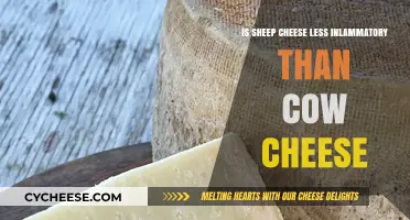 Sheep Cheese vs. Cow Cheese: Which Causes Less Inflammation?