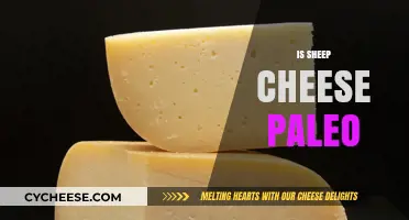 Is Sheep Cheese Paleo? Uncovering Dairy's Place in the Paleo Diet