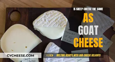 Sheep vs. Goat Cheese: Unraveling the Creamy Differences