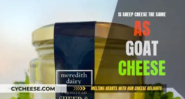 Sheep vs Goat Cheese: What's the Real Difference?