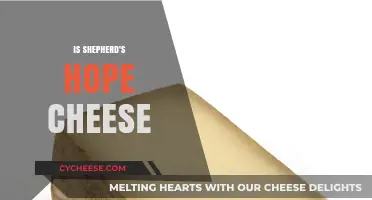 Is Shepherd's Hope Cheese Worth the Hype? A Tasty Review