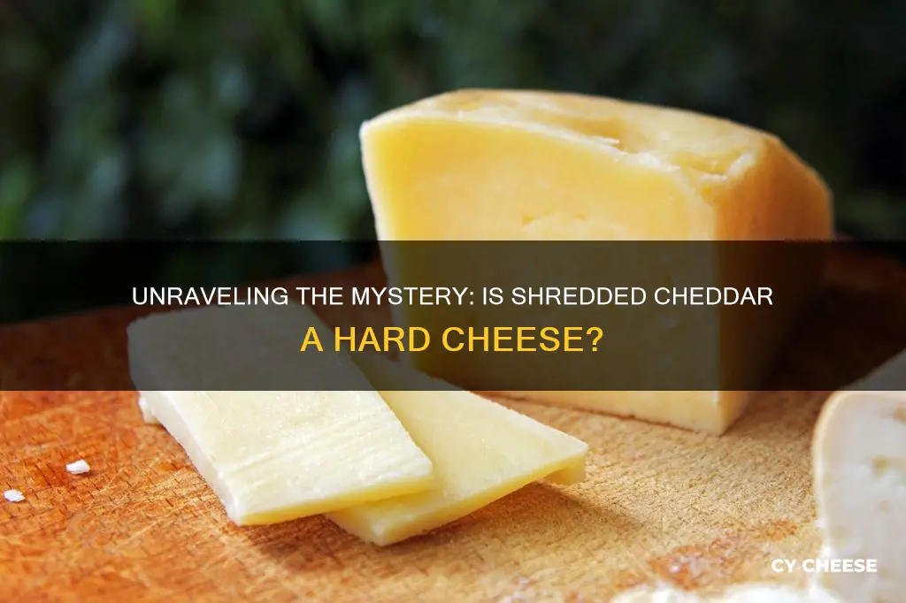 is shredded cheddar a hard cheese