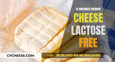 Shredded Cheddar Cheese: Lactose-Free or Not? Unraveling the Mystery