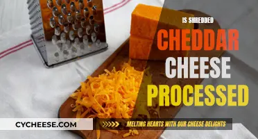 Unraveling the Mystery: Is Shredded Cheddar Processed?