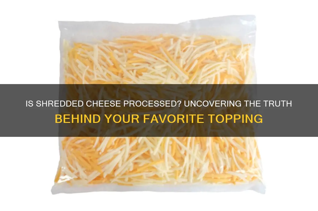 is shredded cheese processed cheese