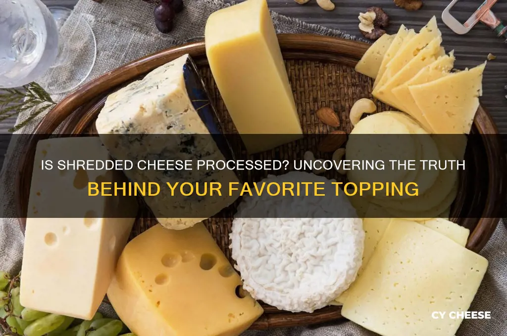 is shredded cheese processed