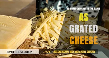 Shredded vs Grated Cheese: Understanding the Key Differences