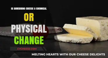 Shredding Cheese: Unraveling the Science Behind Physical Changes
