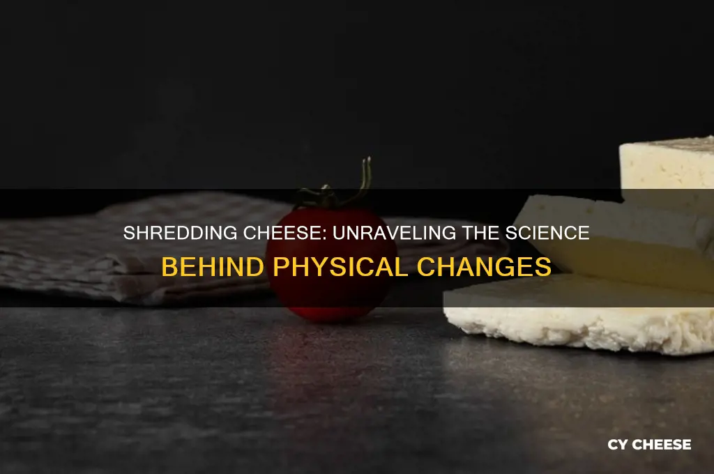 is shredding cheese a chemical or physical change