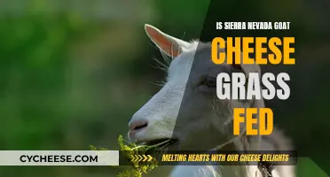 Goat Cheese Secrets: Sierra Nevada's Grass-Fed Delicacy