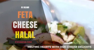 Silani Feta Cheese: Halal or Haram?