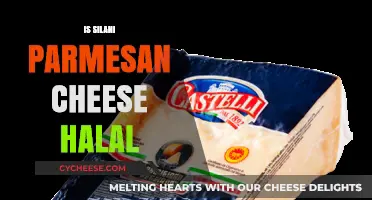 Silani Parmesan Cheese: Halal or Haram?
