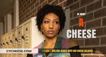 Is Skirt a Cheese? Unraveling the Culinary Confusion and Myths