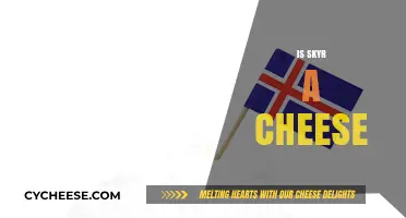 Is Skyr Cheese? Unraveling the Icelandic Dairy Mystery