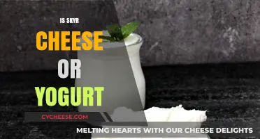 Skyr: Unraveling the Mystery of Cheese or Yogurt in Icelandic Cuisine