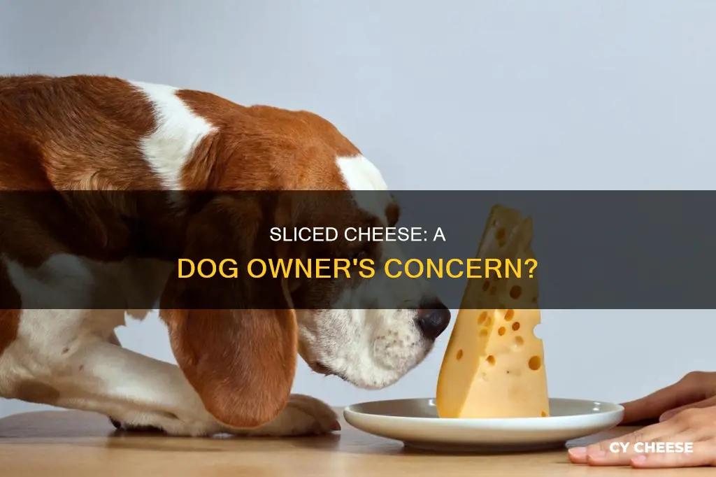 is sliced cheese bad for dogs
