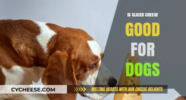 Can Dogs Eat Sliced Cheese? Benefits, Risks, and Safe Serving Tips