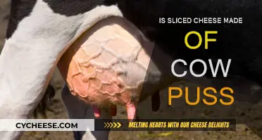 Unveiling the Mystery: Is Sliced Cheese Made from Cow's Milk or...?