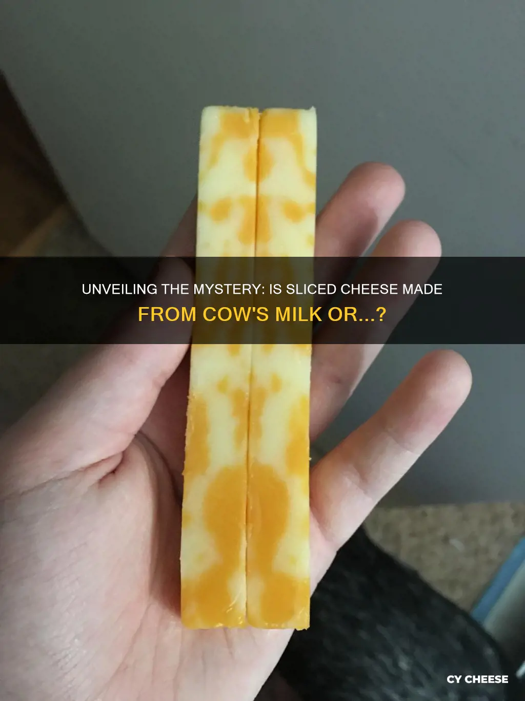 is sliced cheese made of cow puss