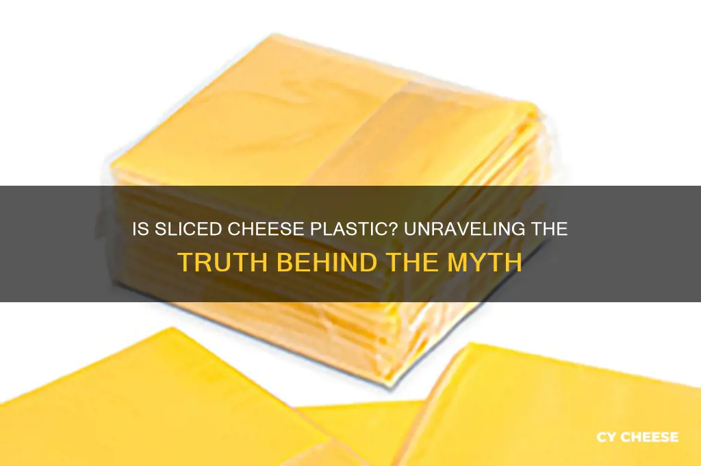is sliced cheese plastic