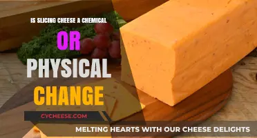Slicing Cheese: Uncovering the Science Behind Physical Changes
