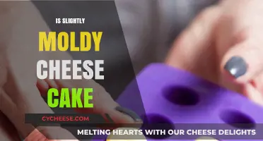 Is Slightly Moldy Cheesecake Safe to Eat? Expert Advice Revealed