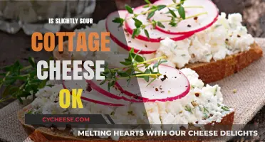 Is Slightly Sour Cottage Cheese Safe to Eat? Find Out Here