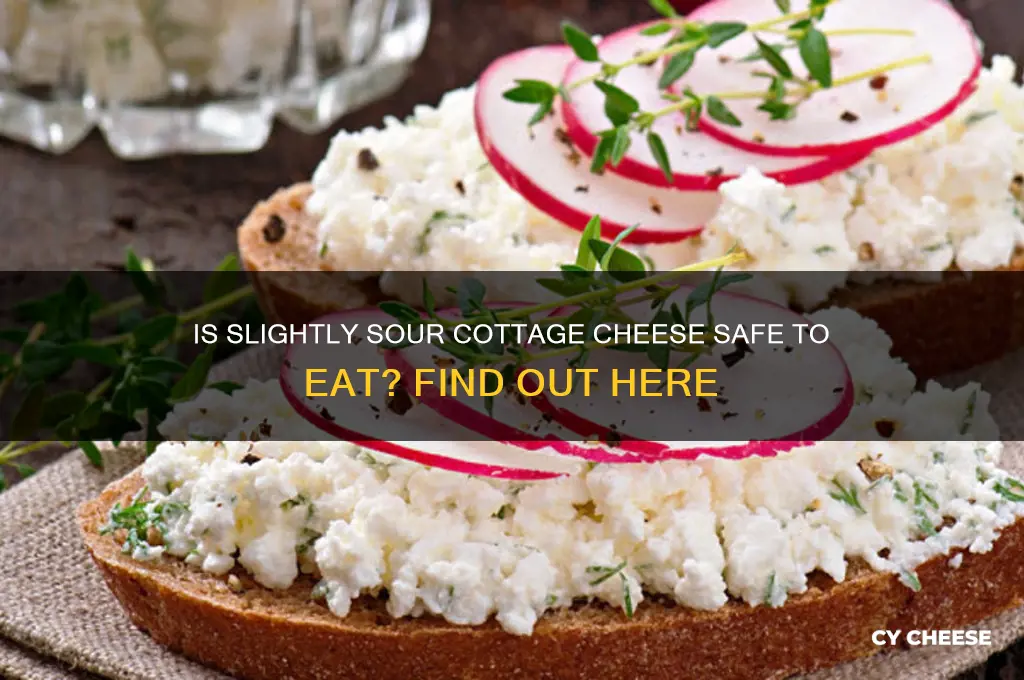 is slightly sour cottage cheese ok