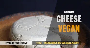 Is Smegma Cheese Vegan? Exploring the Ethics and Ingredients