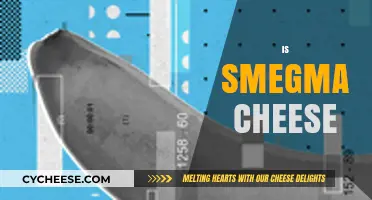 Is Smegma Cheese? Debunking Myths and Understanding the Truth