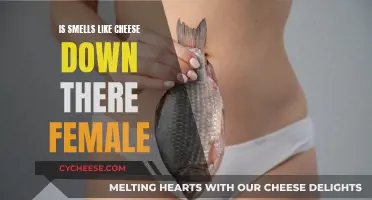 The Vaginal Cheese Smell: What's Normal for Women?