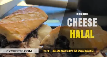 Is Smoked Cheese Halal? Exploring Islamic Dietary Laws and Cheese